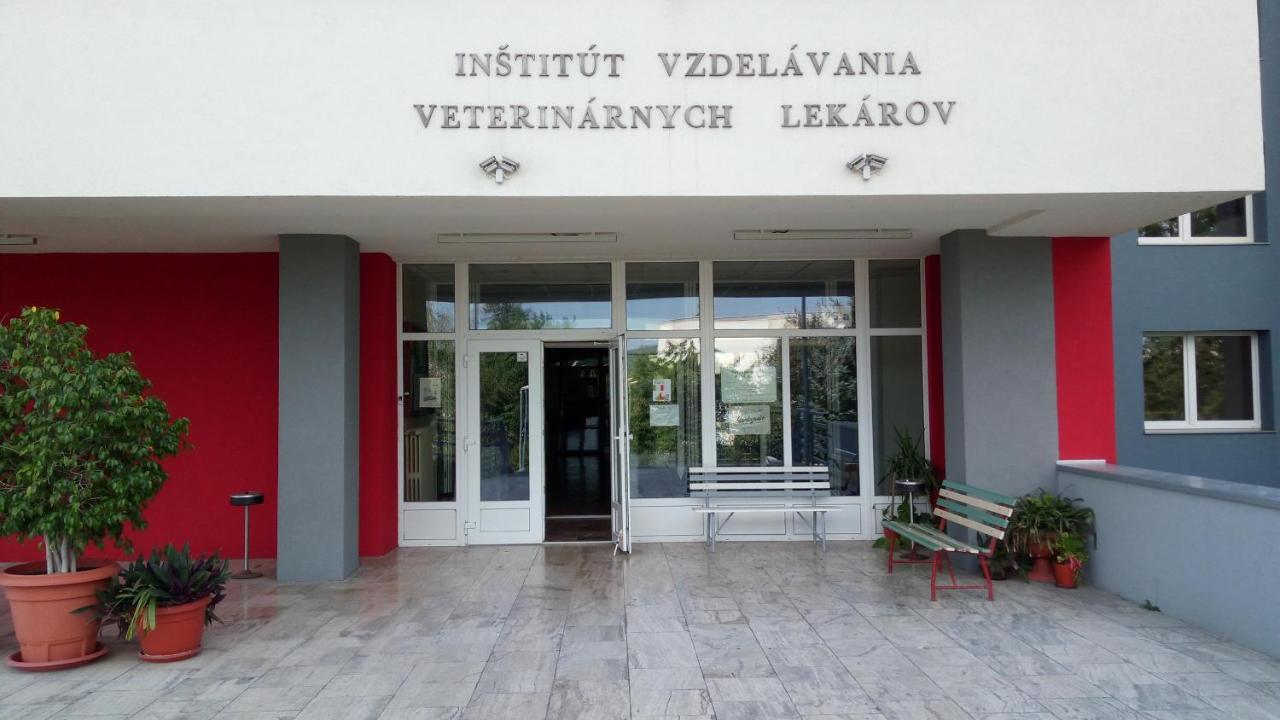 Penzion Institut Košice Esterno foto
